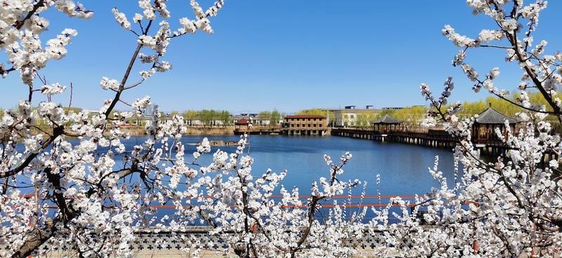 秀康苑养老院等24小时护理+医保定点2026最新PG电子麻将胡了模拟器北京高性价比养老院推荐领(图6)